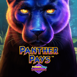 Panther Pays Power Play Jackpot