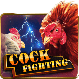 Cock Fight PHI