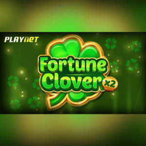 Fortune Clover x2