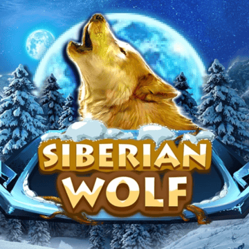 Siberian Wolf