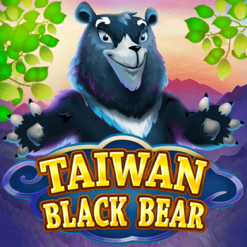 Taiwan Black Bear