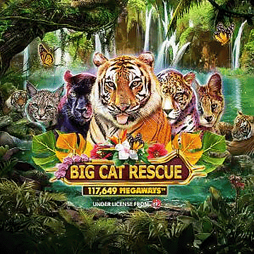 Big Cat Rescue Megaways