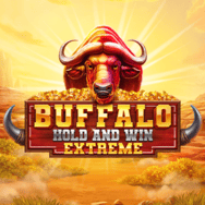 Screenshot of Buffalo Hold and Win Extreme