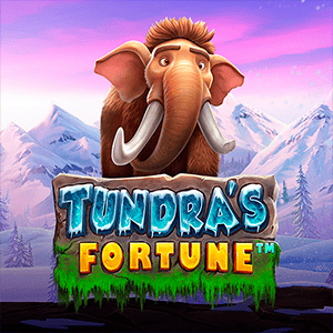 Tundra's Fortune