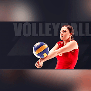 Volleyball