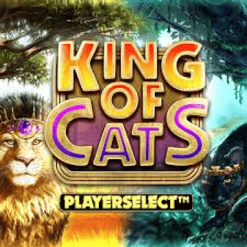 King of Cats Megaways_V1 DNT