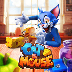 Cat &amp; Mouse