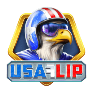 USA Flip